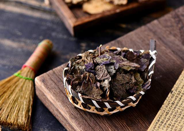 舌尖上的紫苏,夏日开胃解暑,散寒解毒神草|紫苏|开胃|中药|紫苏梗