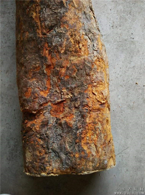 世界上最坚硬的木材被称为木王比钢铁硬两倍子弹根本打不穿