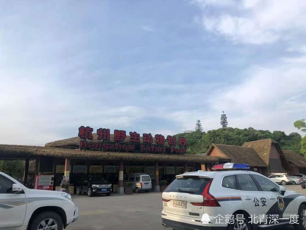 杭州金钱豹外逃一个月背后巨大投入后搜寻陷入胶着
