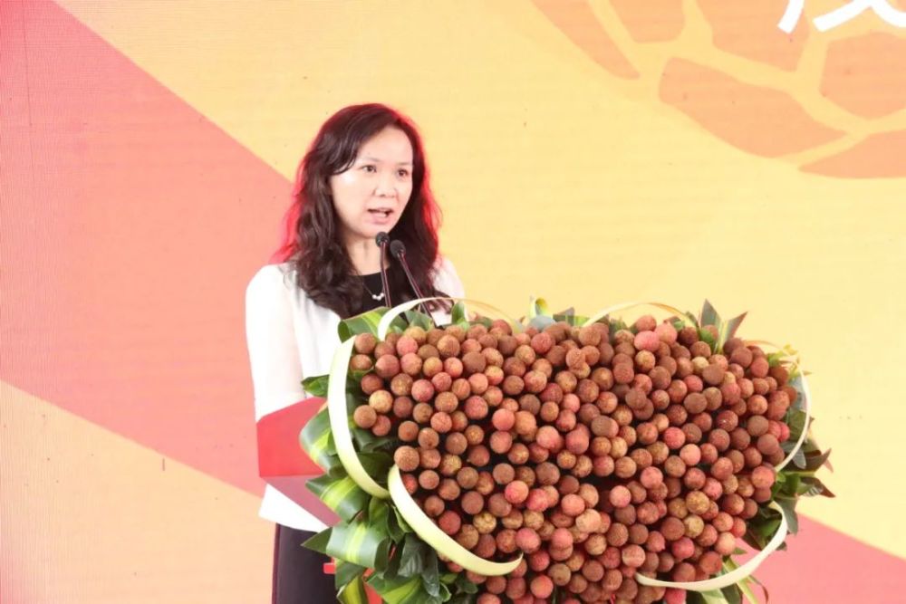 (茂名市副市长王小慧致辞)(电白区委书记谭剑锋致辞)(电白区委副书记