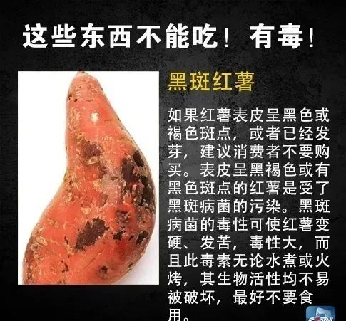 中山多人因它食物中毒!|中山|苦葫芦瓜|瓠瓜|苦葫芦|葫芦素|食物中毒