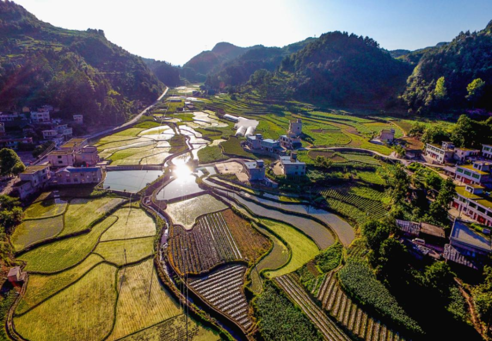 石硐镇难冲桥村稻田息烽县出台了《息烽县以"强省会"五年行动为引领