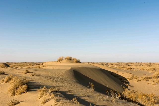 西北第一大平原:面积近5万平方千米,最早有"天府之国"之称|西北地区