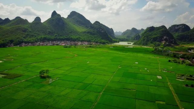 上林白圩镇开展技术培训助力春耕生产