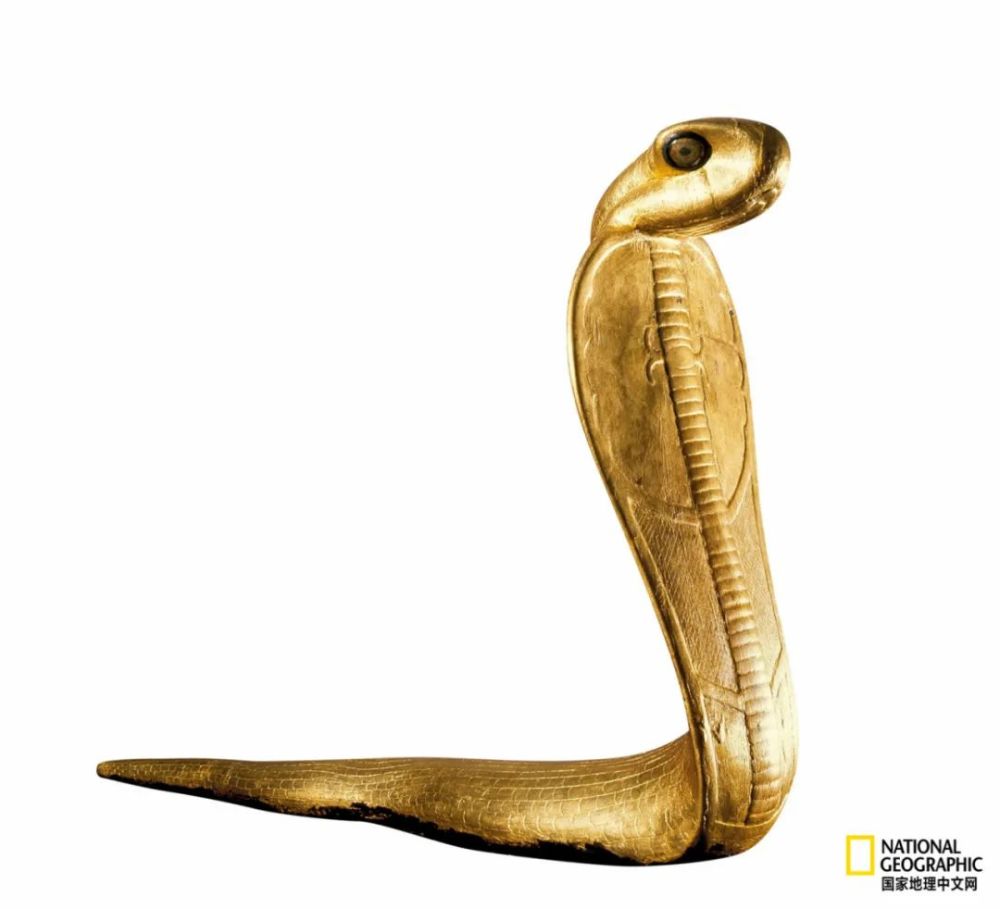 古埃及的众神宇宙竟是动物世界