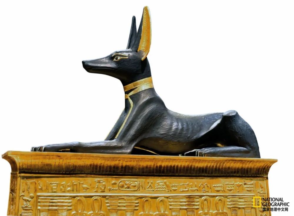 古埃及动物图片