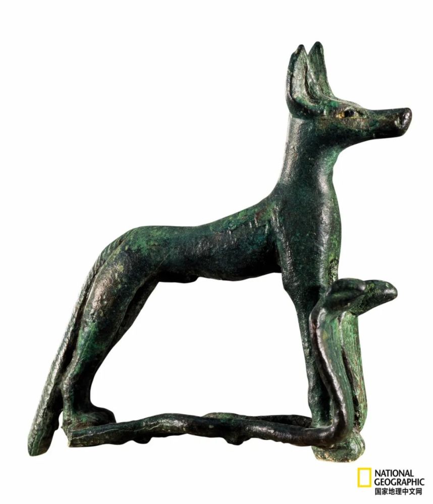 古埃及的众神宇宙竟是动物世界