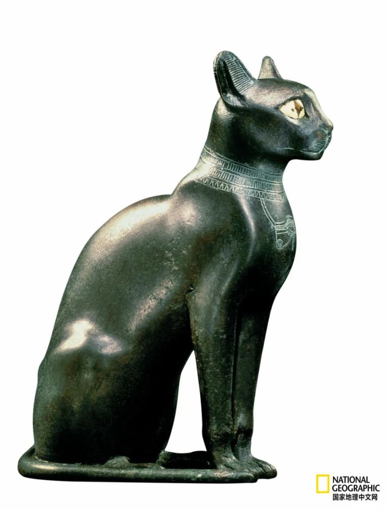 古埃及的众神宇宙竟是动物世界