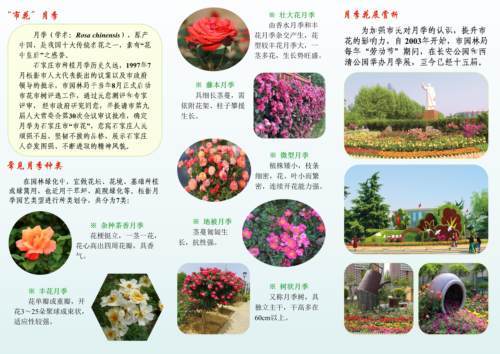 石家庄市园林局举办市花月季专题科普展