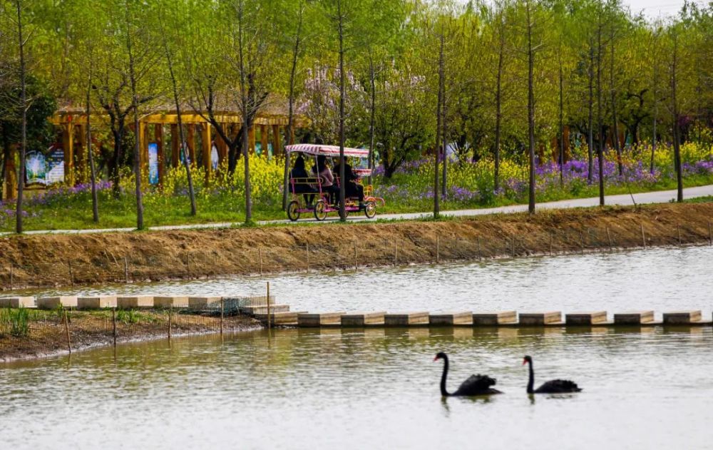 双龙湖观鸟园图片