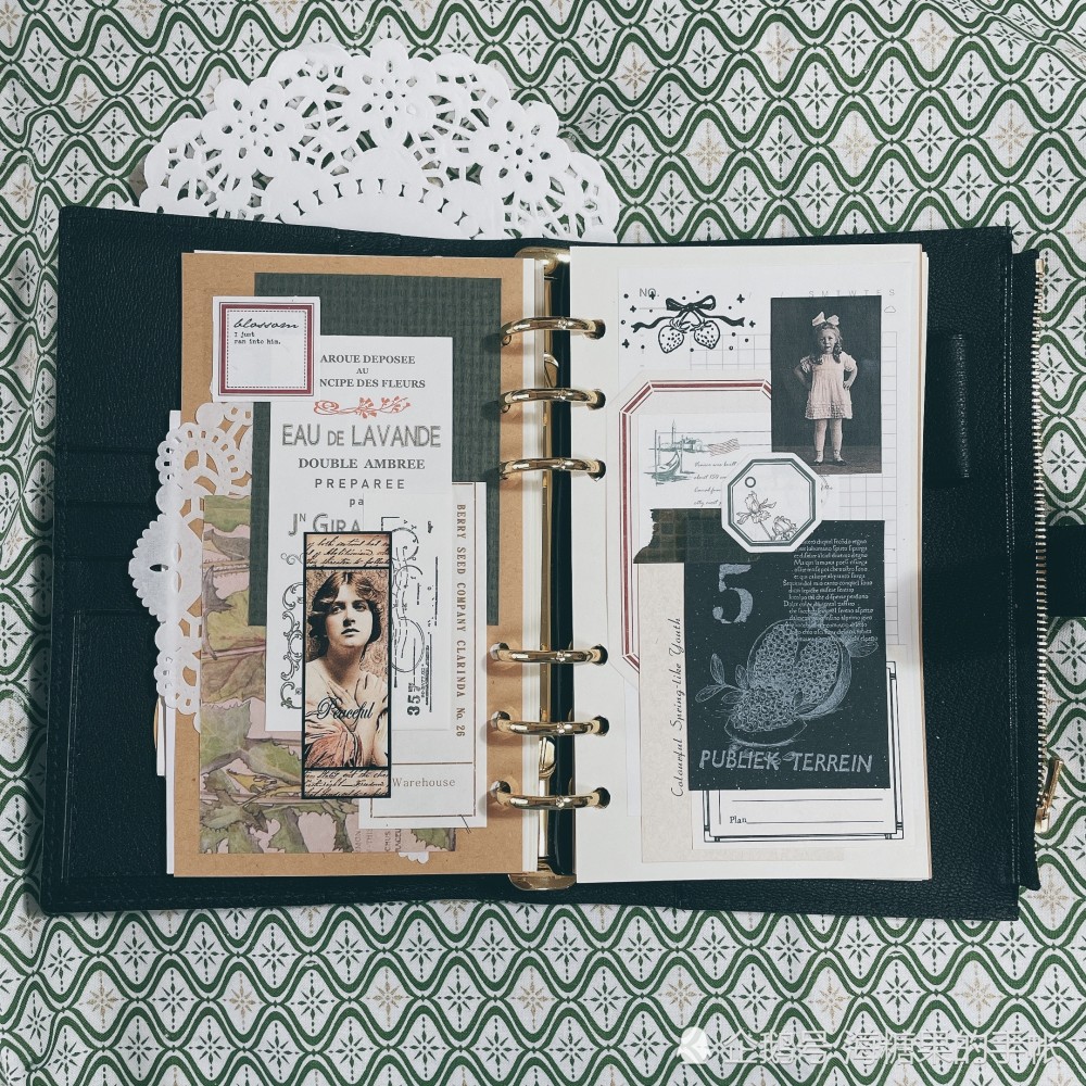 海糖果的手帐复古日常no97夏季石榴物语