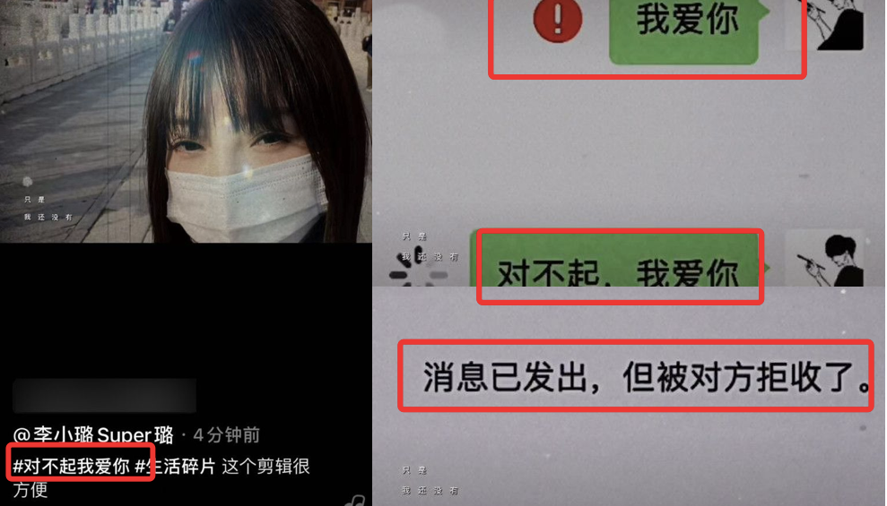 李小璐发对不起我爱你聊天记录被对方拉黑引发网友热议