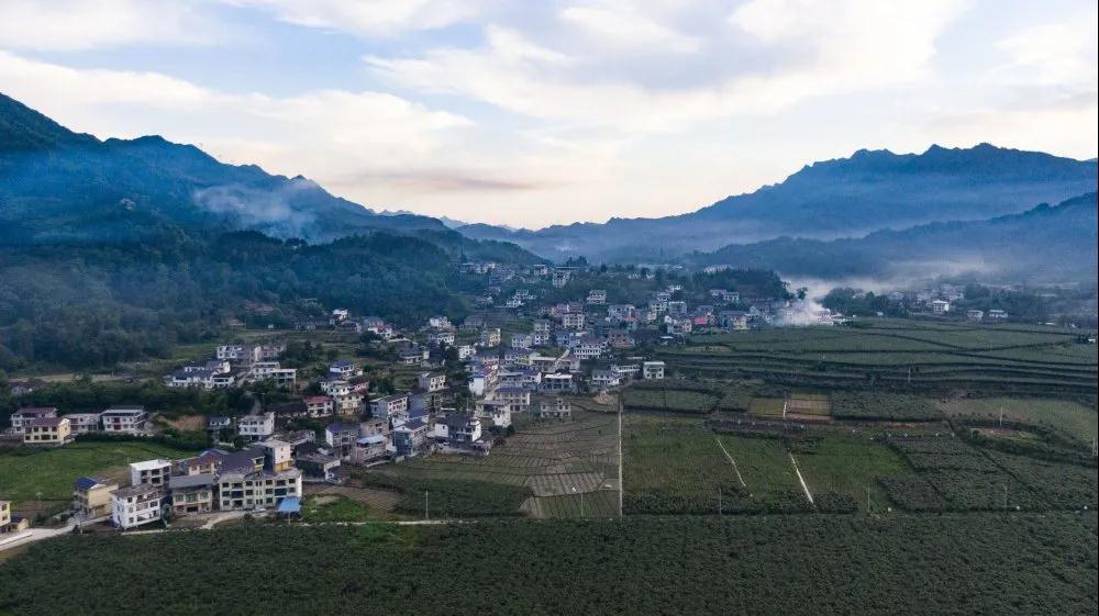 陈家河:绿色的水,红色的家_腾讯新闻