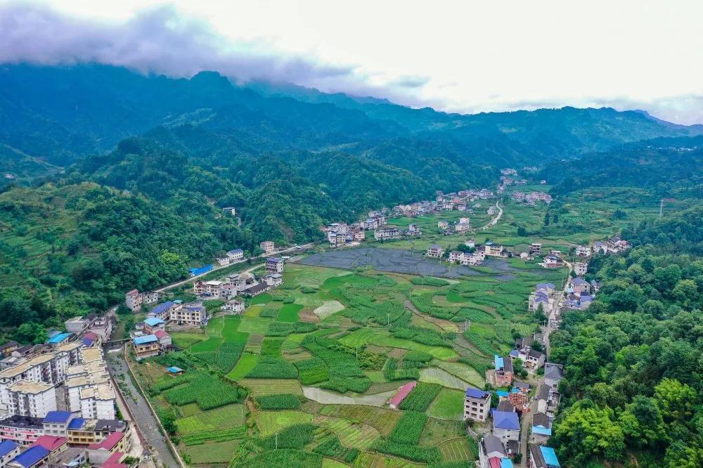 陈家河:绿色的水,红色的家_腾讯新闻