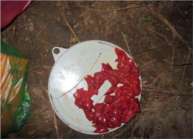 广西钓鱼人稻田钓获八须怪鱼肉质橙黄用鸡肝钓了不少