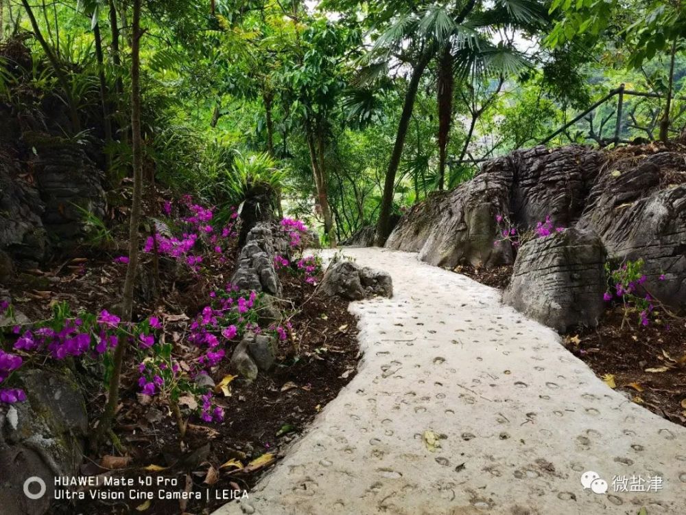 农旅融合走实乡村振兴路盐津艾田有个好地方等你来打卡