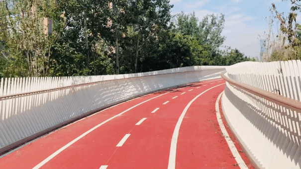 西安人:13.8公里最美骑行道来了!