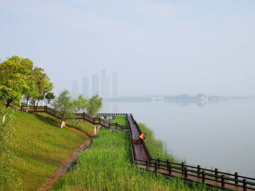 尋湖長沙松雅湖從無到有的國家溼地公園