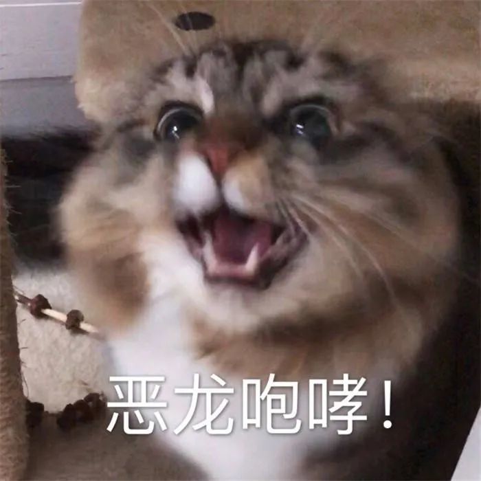 表情包Ⅰ恶龙咆哮
