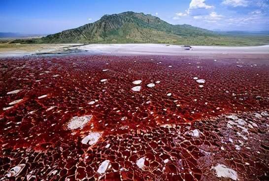 世界上最危险的湖泊无人敢进