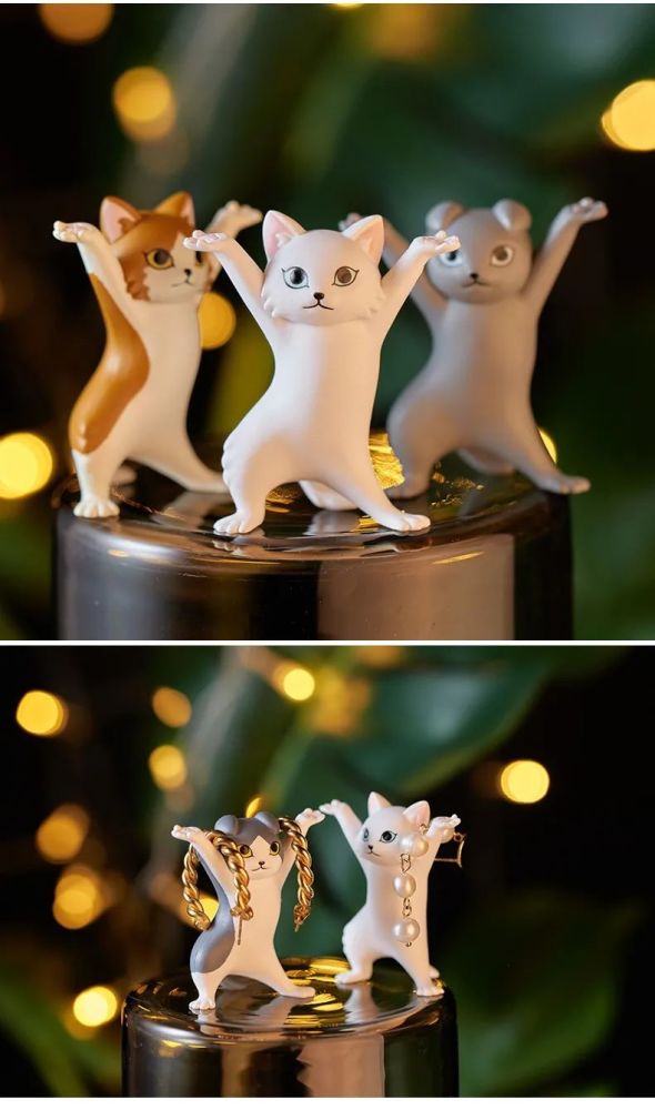 挑战全网最火的妖娆猫,第三弹长毛和垂耳妖娆猫申请出战!