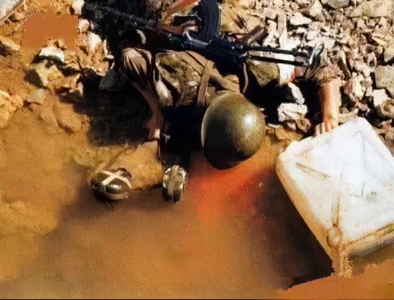 其目的就是让越南在东南亚做苏联的打手