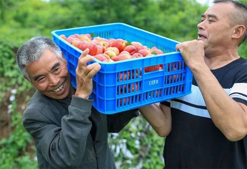 编:杨可佳 校:张丹 季佩佩 审:赵林 姚磊