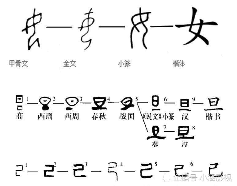 但是如果将"妲"字拆分为"女"和"旦"字,再加上"己"字,这三个字的甲骨文