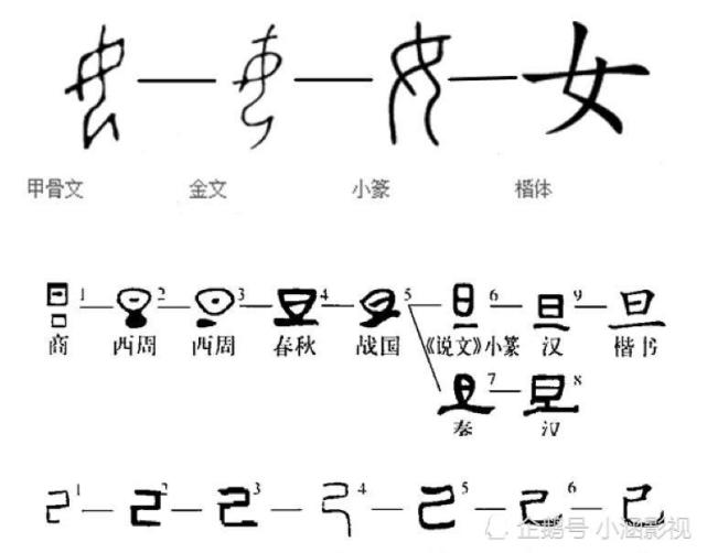 苏字的甲骨文没找到,但是大家可以参考演变后的小篆和隶书