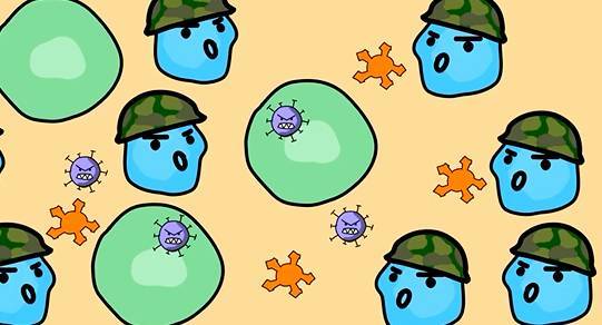 打疫苗就是打病毒吗什么叫灭活疫苗来聊一聊疫苗的原理