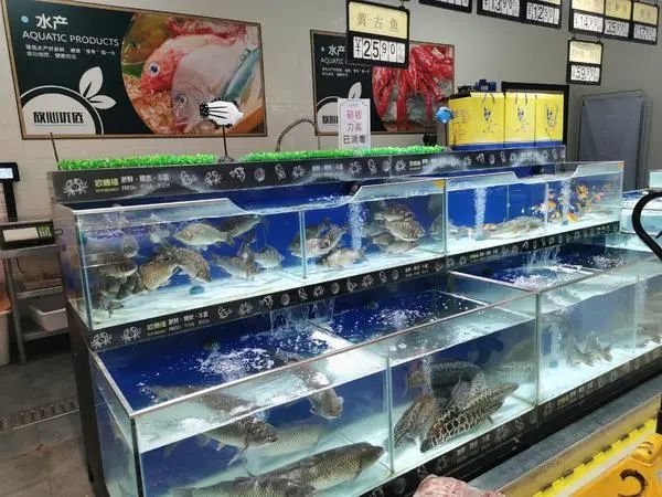 新乡63岁男子3米深水连救3人,救人后回家的力气都没了