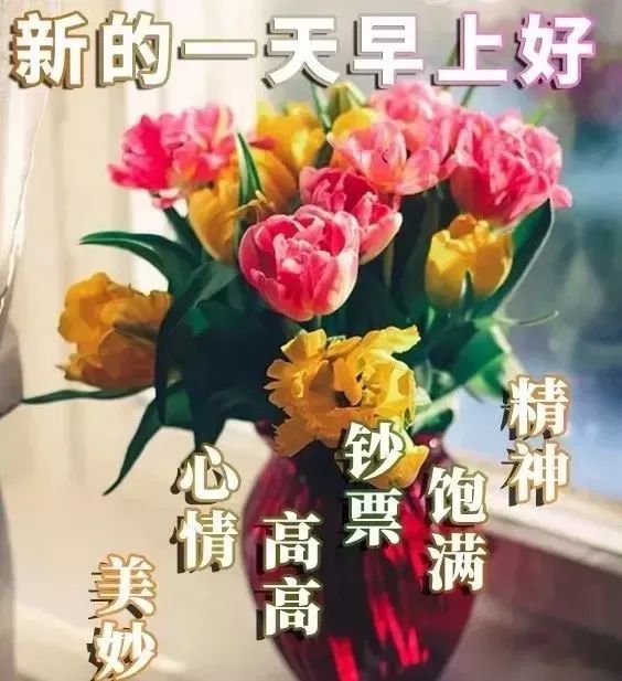 新的5月份早上好问候语图片大全早上好表情动态用语2021
