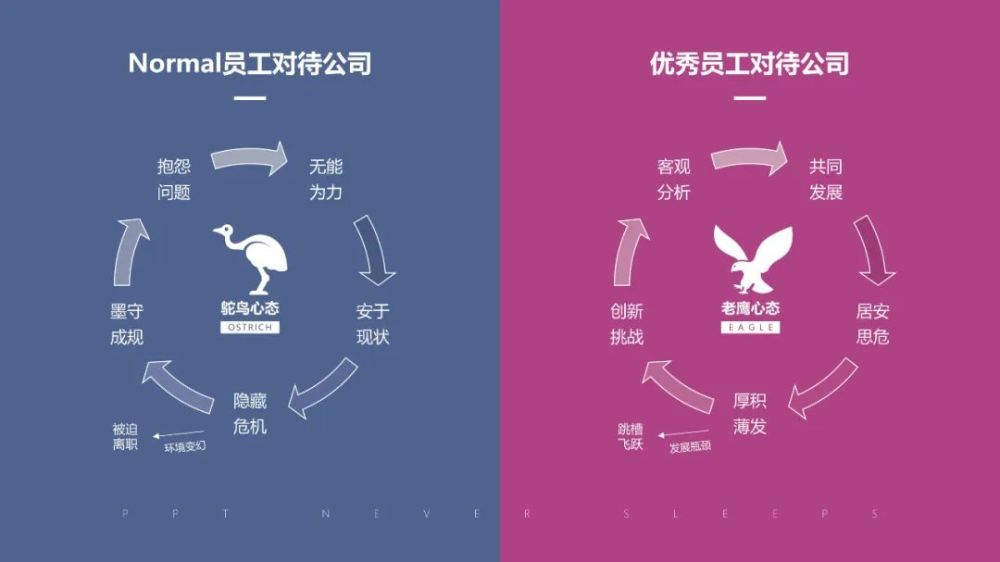 關於公司: 企業是以盈利為目的,而從事商品生產與交換的經濟組織,時刻