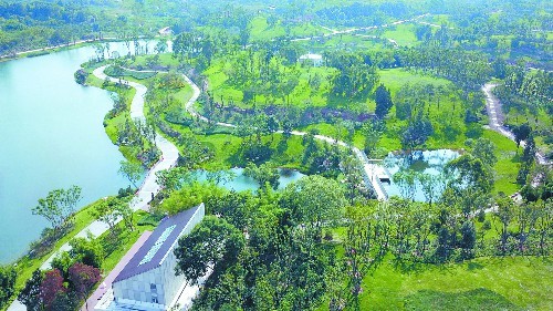成都这两个"网红公园"给你答案|杨溪湖湿地公园|成都|长江