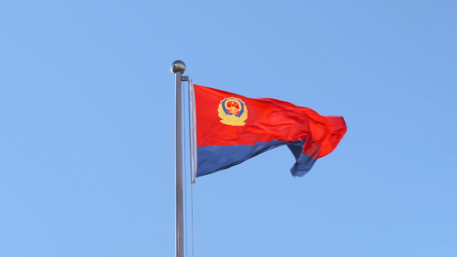 这面警旗是在今年1月10日,也就是首个中国人民警