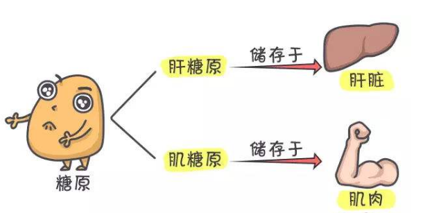 沙棘饮料小孩可以喝吗_沙棘什么时候喝好?_喝完美沙棘茶的反应