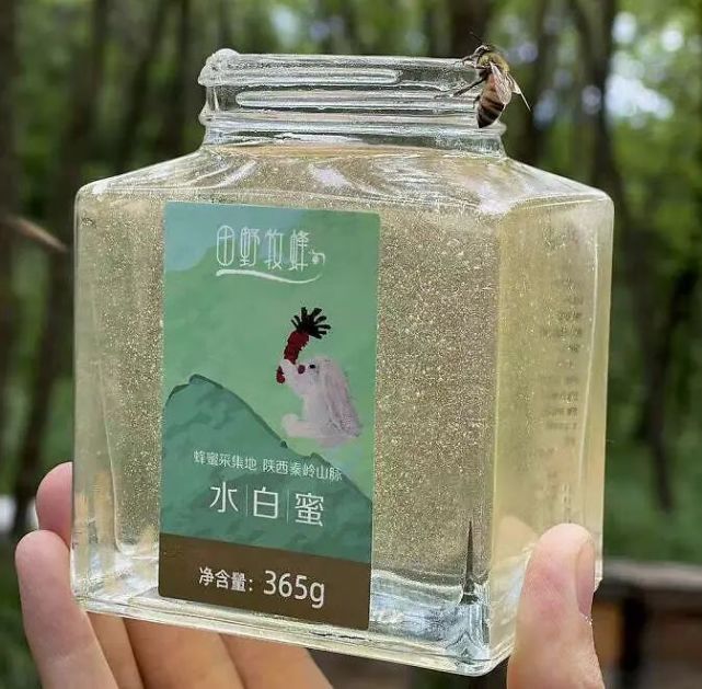 蜂蜜能冷冻起来吗?蜂蜜能放冰箱冷藏保存吗?