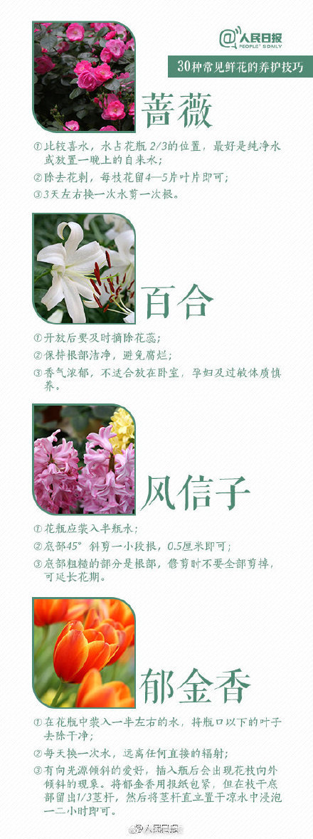 藏花阁论坛：汇聚古典文学爱好者的精神家园