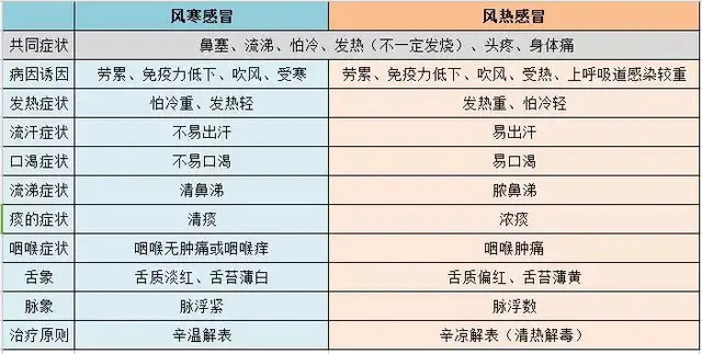 风寒感冒和风热感冒感冒中医常见分型包括:根据症状,辩证服药中医专家