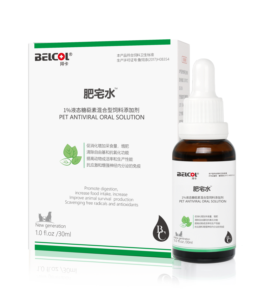 小猫咪的猫生大事 猫咪绝育养护攻略 腾讯新闻