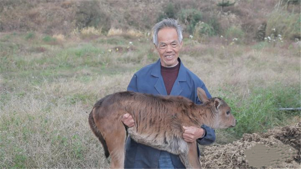 其他熟牛肉可能需要添加很多味道重的香料才能掩盖本身的异味,但小狗