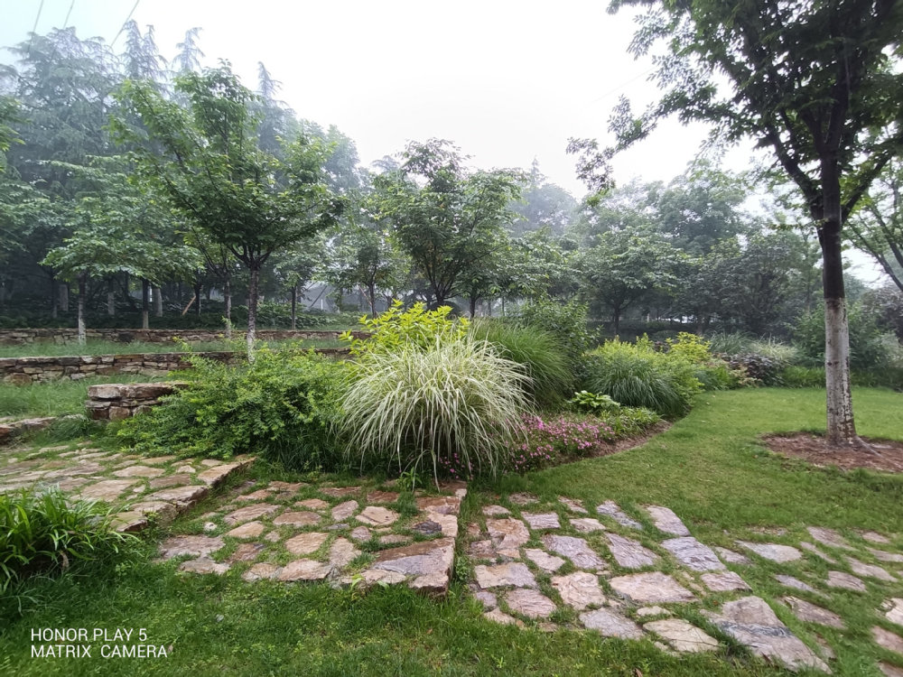 荣耀play5征服你的不只是颜值