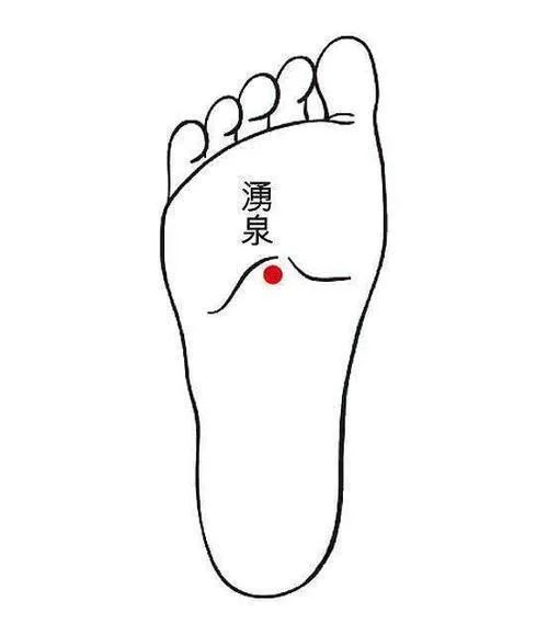涌泉穴:降火 气畅|涌泉穴|降火|足底