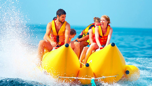 热带水果在这里都能安家并结出优秀的果实,台湾的火龙果,越南的红毛丹