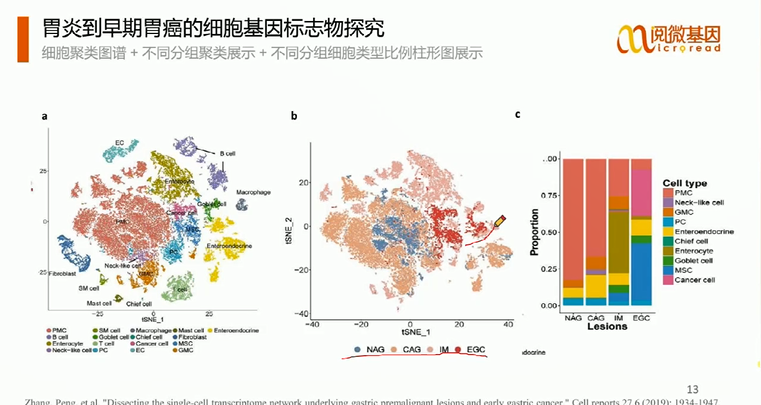 必备|35 种单细胞测序文献中常用的高级分析