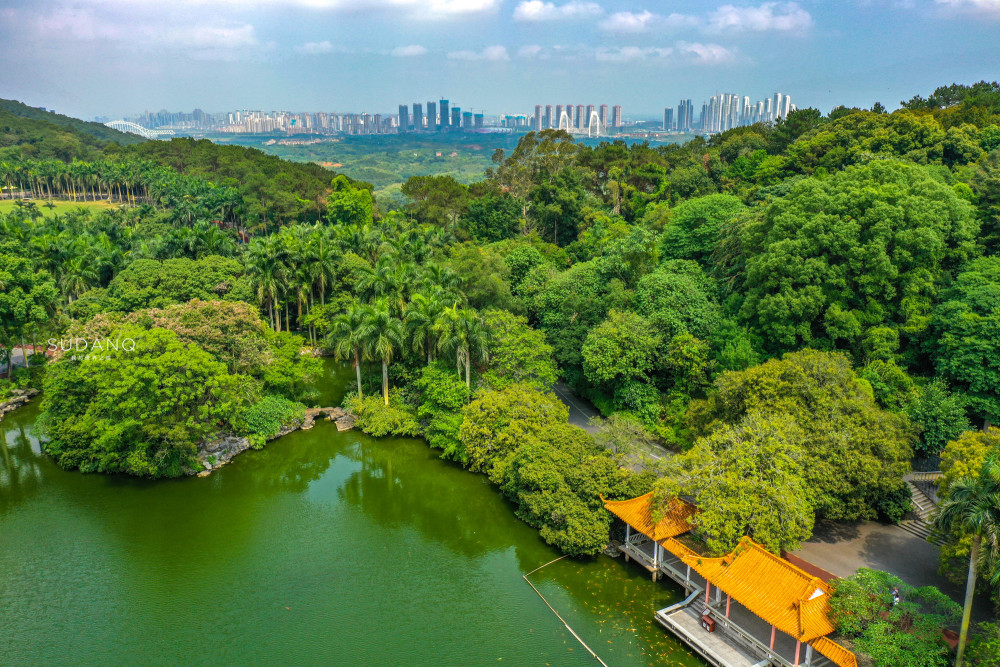 风水宝塔能掌握城市命脉南宁青秀山公园藏有绿色宝塔十分神秘