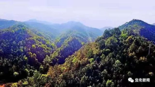 走近油山,放眼望去,只见山峦起伏,林海绵延,油山像