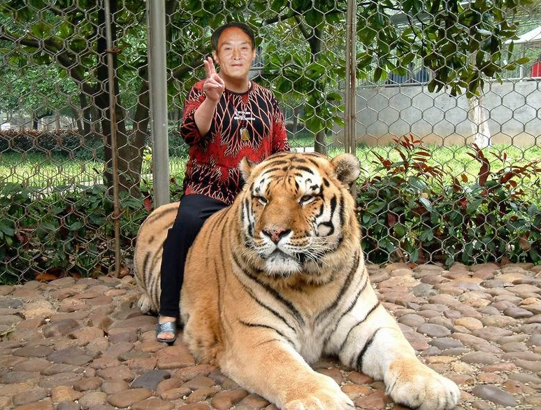 2007年,互联网已经很发达,很多人都是从网上得知消息,周正龙一下子