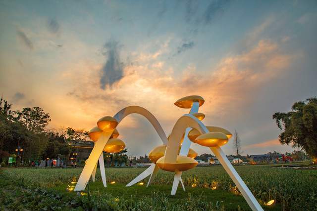 成都第二届天府大地艺术季完美收官千幅摄影作品定格最美东林艺术村