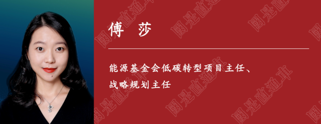 傅莎:内蒙古要从煤炭基地转为清洁电力生产基地